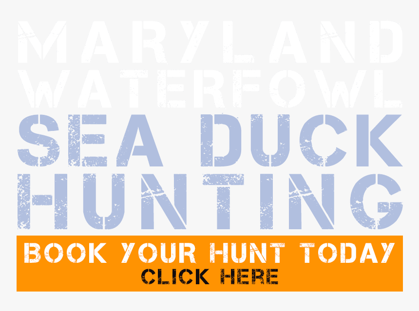 Book Your Hunt - Parkpop, HD Png Download, Free Download