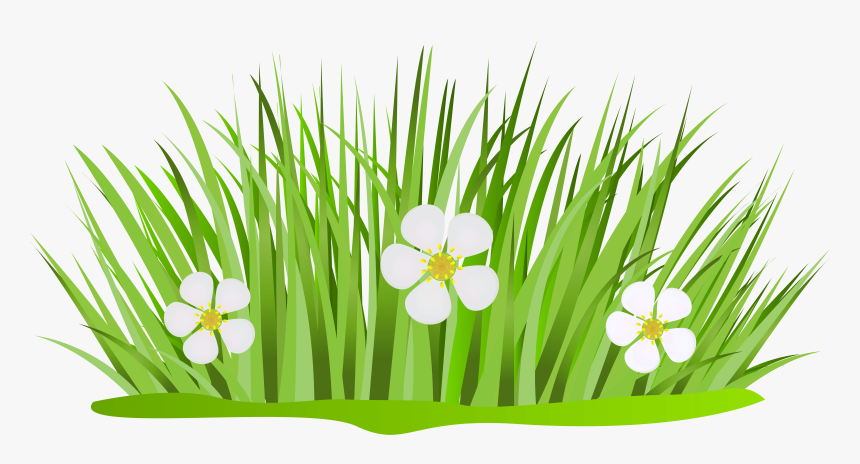 Grass Patch With Flowers Png Clip Art Image - Grass And Flower Clipart, Transparent Png, Free Download