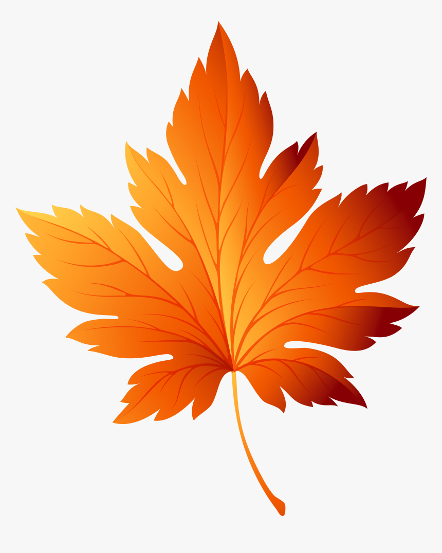 Autumn Leaf Transparent Picture Free Download - Autumn Leaf Clipart, HD Png Download, Free Download