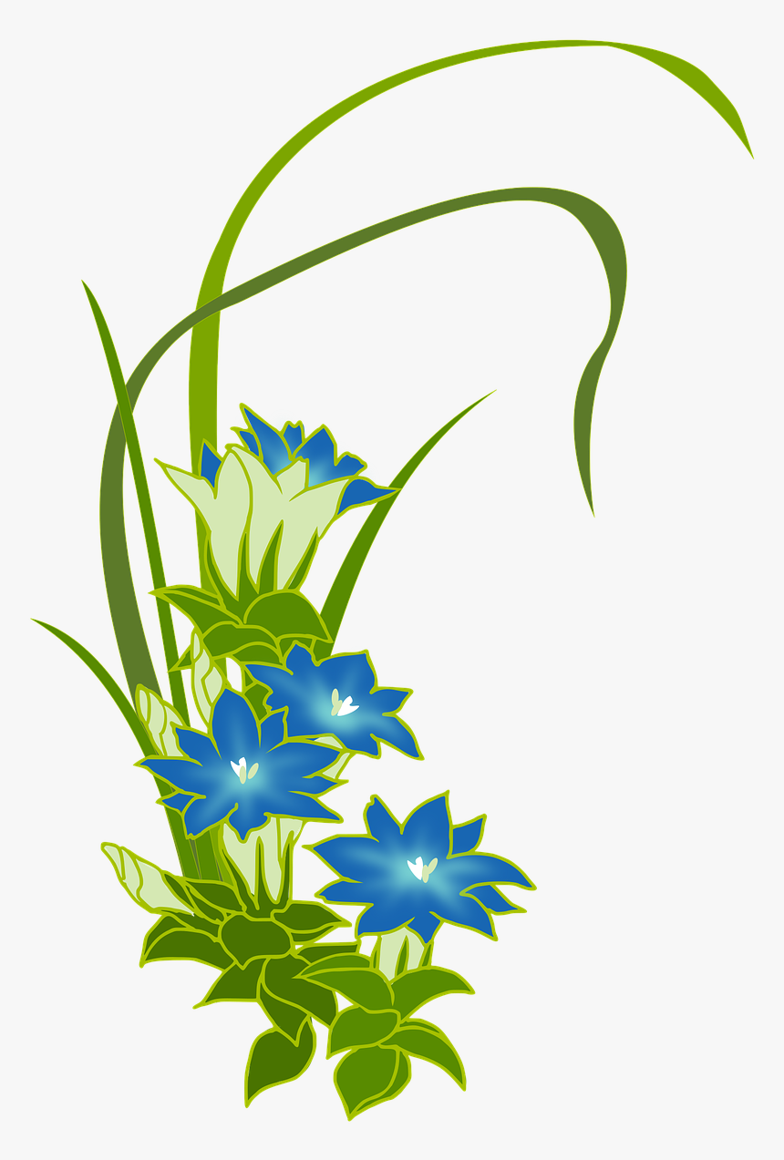 Genziana Clipart, HD Png Download, Free Download