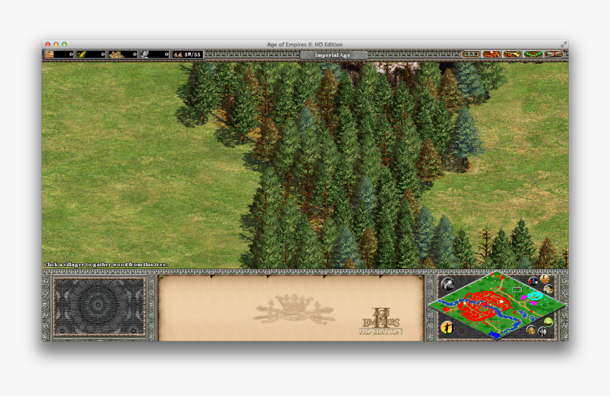 Age Of Empires Series Wiki - Grass, HD Png Download, Free Download