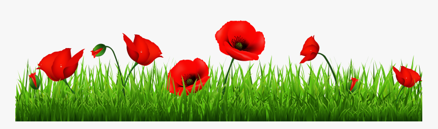 Clip Art Flower Row Clipart - Poppy Transparent Anzac Day, HD Png Download, Free Download