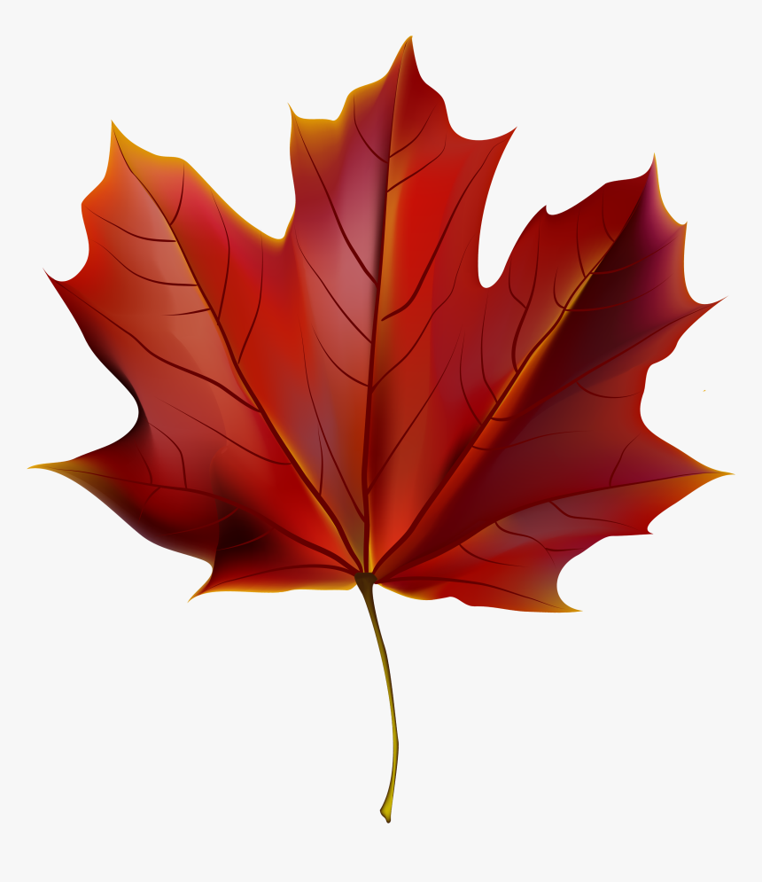 Beautiful Red Autumn Leaf Png Clipart Image - Red Autumn Leaf Png, Transparent Png, Free Download