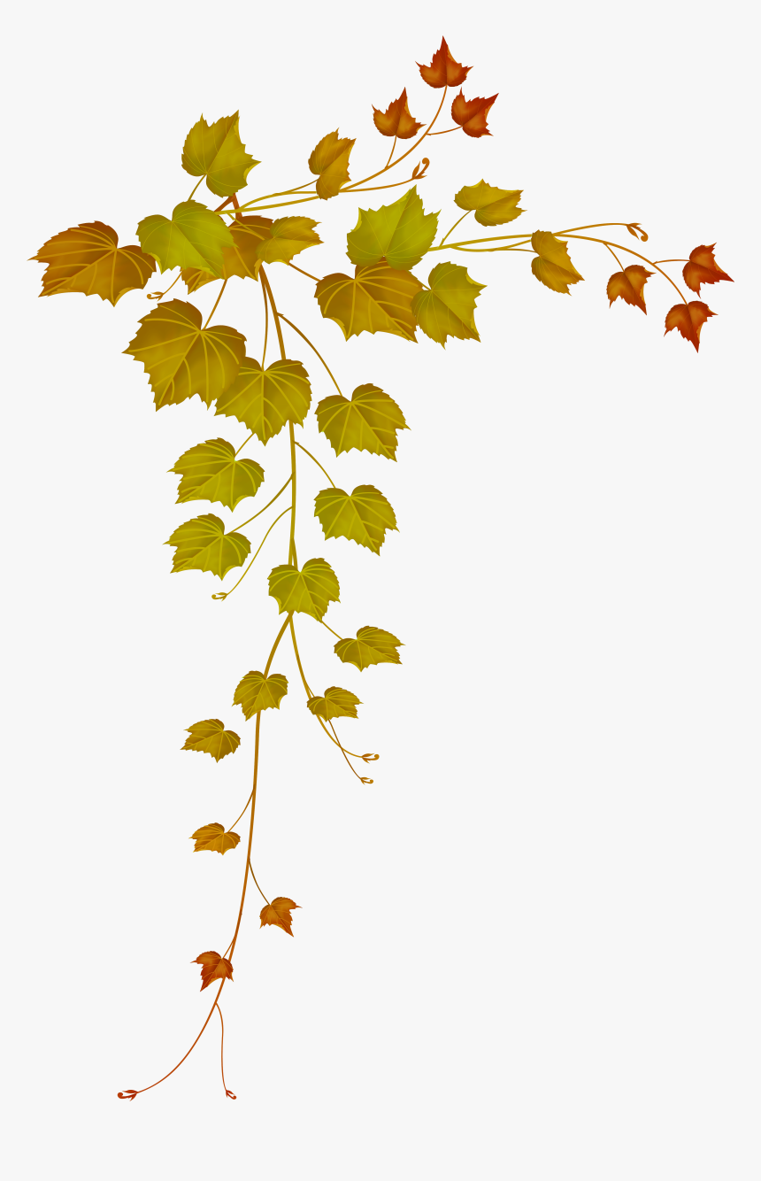 Decorative Clipart Falling Leave - Leaf Transparent Frame Free, HD Png Download, Free Download