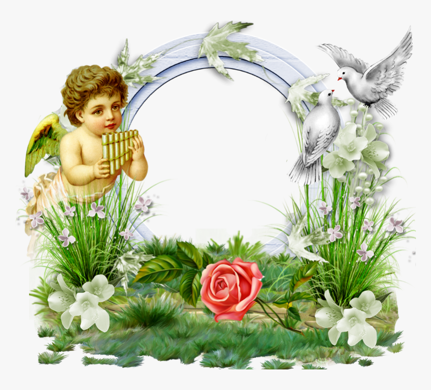 Angel Frame Png - Angel Frames, Transparent Png, Free Download