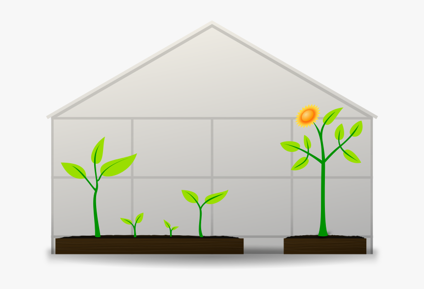 Transparent Background Greenhouse Clipart, HD Png Download, Free Download