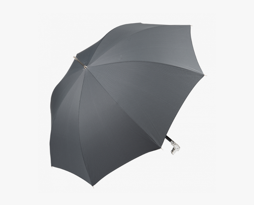 Weimaraner Chelsea Umbrella - Umbrella, HD Png Download, Free Download