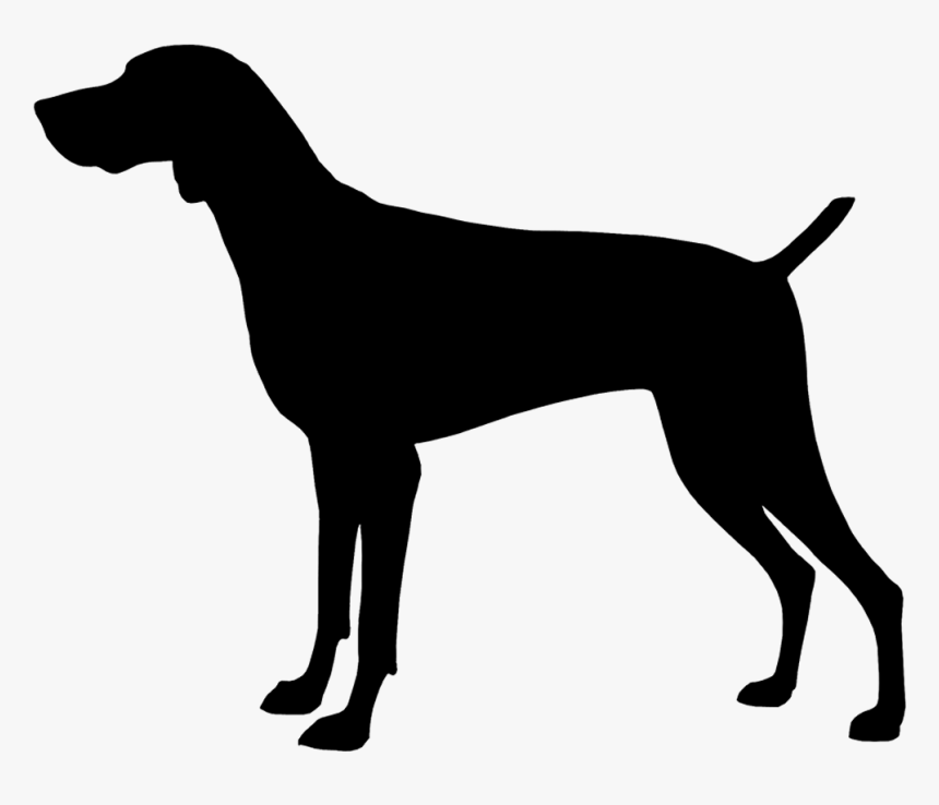 Dogs Clipart Gsp - Horse Silhouette Svg Free, HD Png Download, Free Download