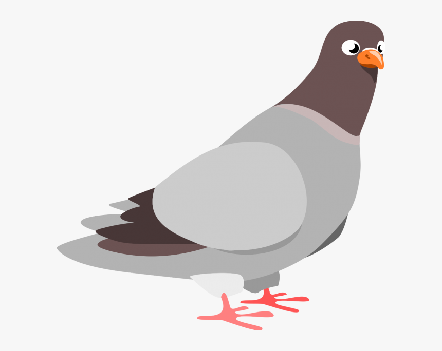 Pigeon Svg Clip Arts - Pigeon Clipart, HD Png Download, Free Download