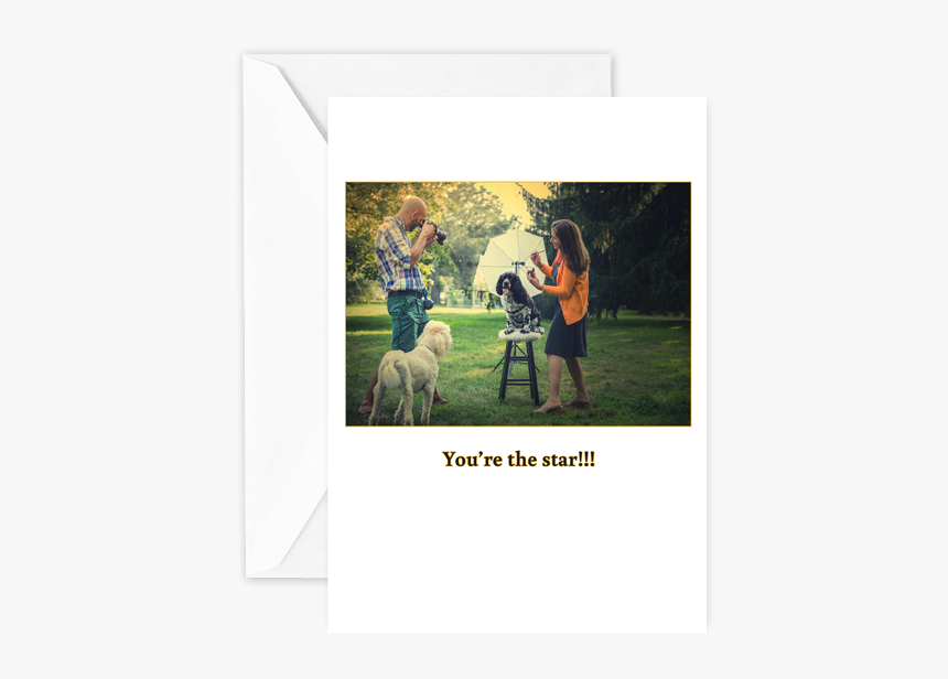Youre The Star - Picture Frame, HD Png Download - kindpng