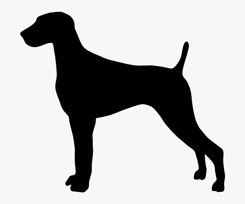 Gsp Silhouette At Getdrawings - Parson Russell Terrier Silhouette, HD Png Download, Free Download