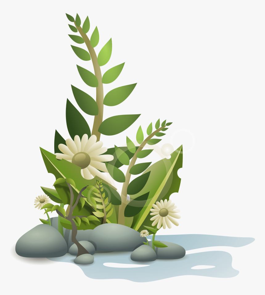 Clipart Plants, HD Png Download, Free Download