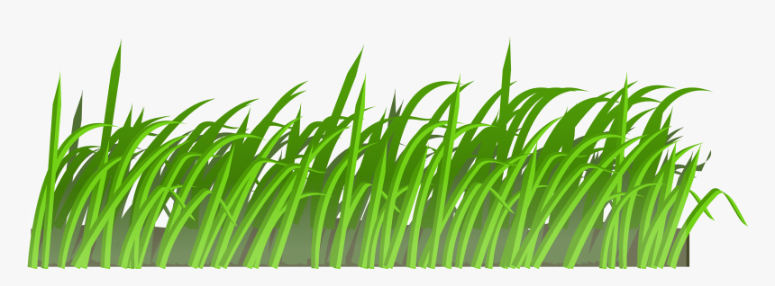 Grass, Green, Lawn, Plants, Small, Ground, Floor - Imagen Animada De Cesped, HD Png Download, Free Download