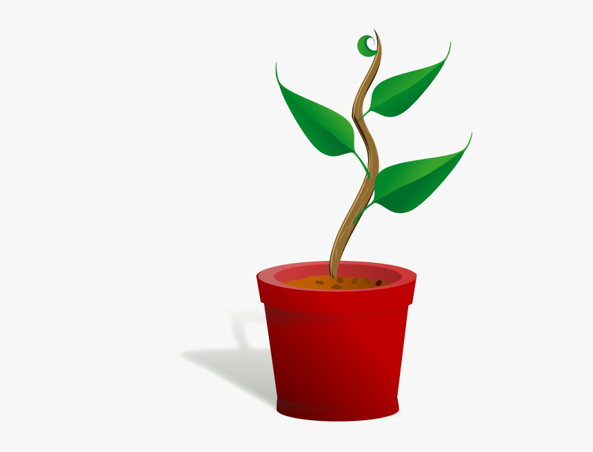 Growing Plant Png Free Download - Getting To Know Plants, Transparent Png, Free Download