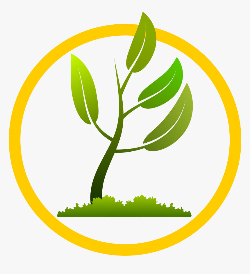 Green Plants Png - One Citizen One Tree, Transparent Png, Free Download