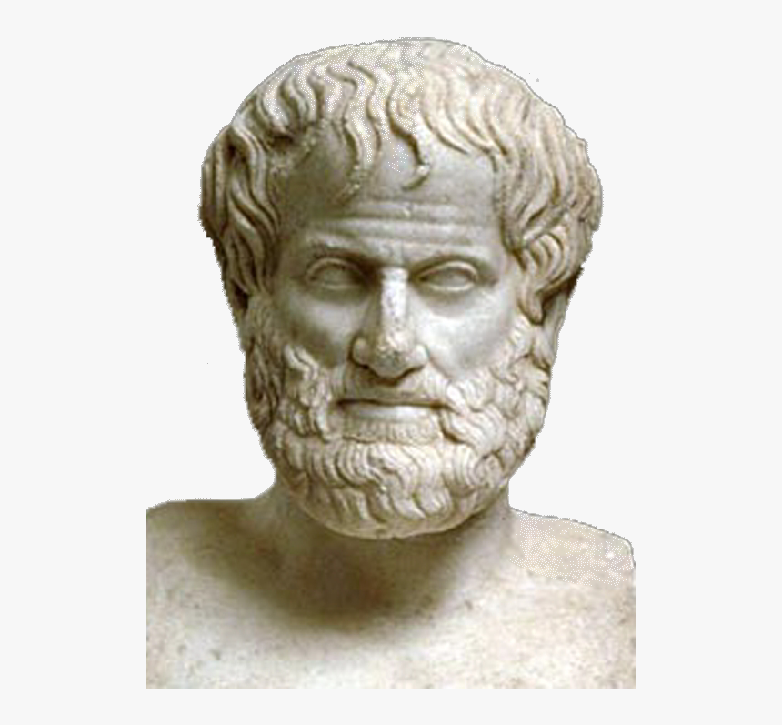 Aristotle Bust White Background Transparent - Aristotle Png, Png Download, Free Download