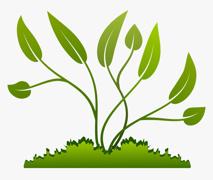 Weak Plant Clipart - Small Plant Growing Png, Transparent Png, Free Download