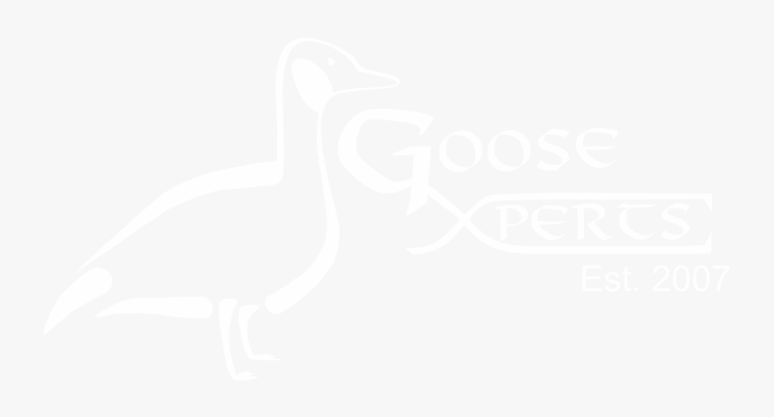 Goose Xperts Logo - Duck, HD Png Download, Free Download