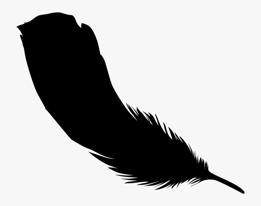 Clip Art Beak Feather Silhouette Black M - Eagle Feather Silhouette, HD Png Download, Free Download