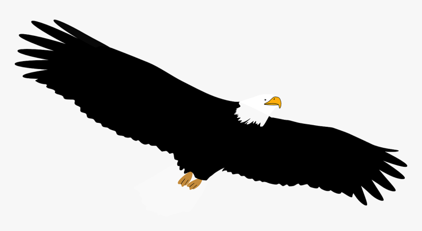 Bald Eagle Transparent Black And White, HD Png Download, Free Download