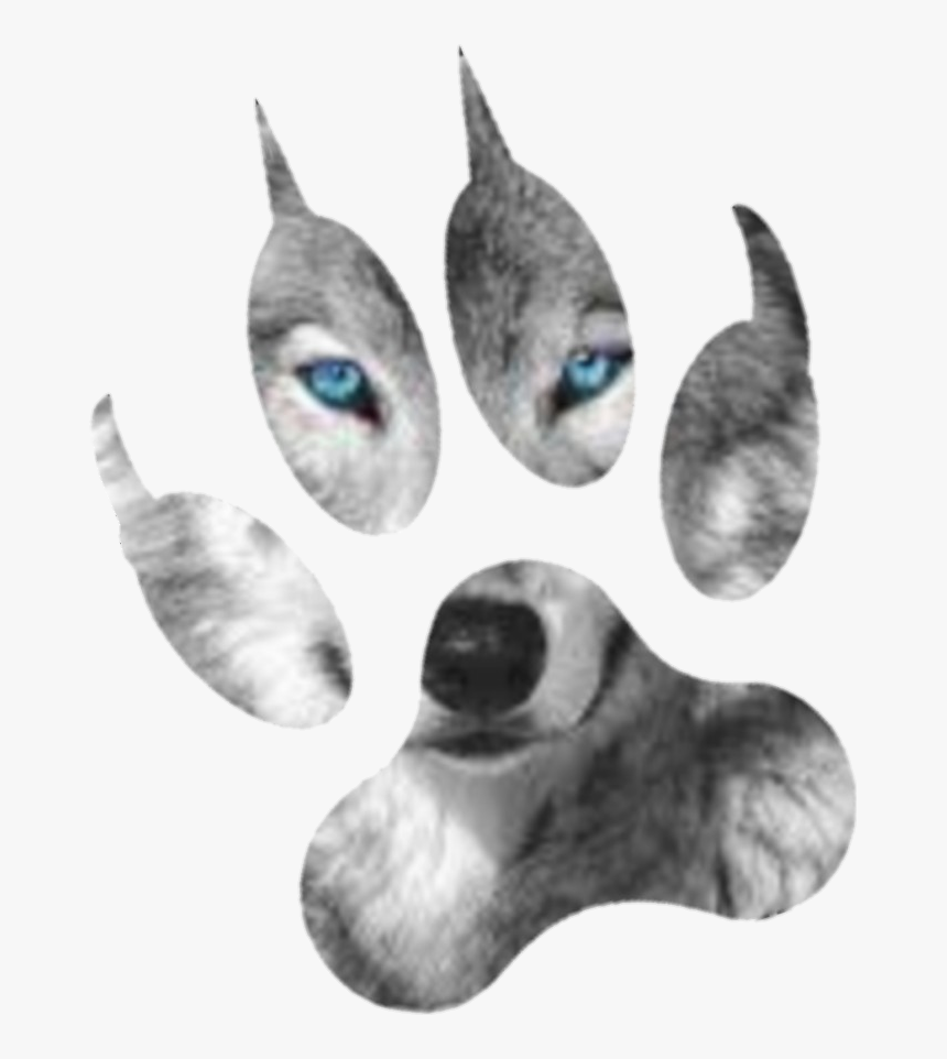 #wolf #paw - Wolf, HD Png Download, Free Download