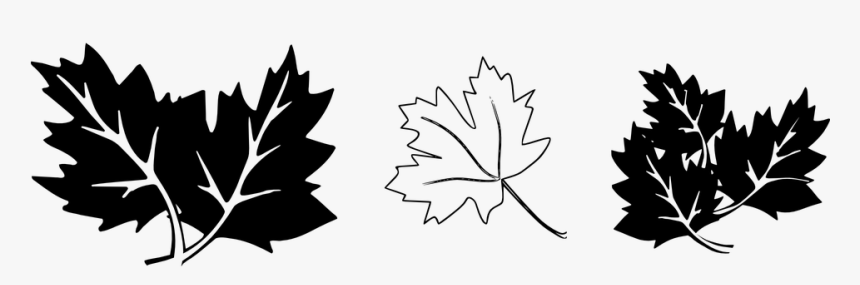 Leaves, Oak, Tree - Fall Clip Art, HD Png Download, Free Download