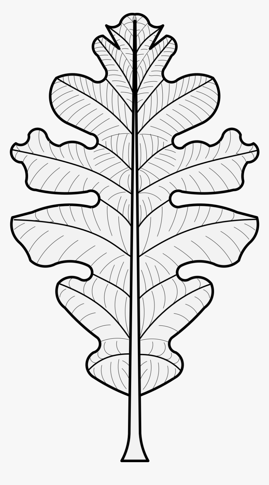 Oak Leaf Heraldry, HD Png Download, Free Download