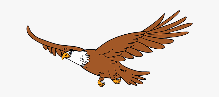 How To Draw Eagle - Eagle Drawing Easy With Color, HD Png Download, Free Download