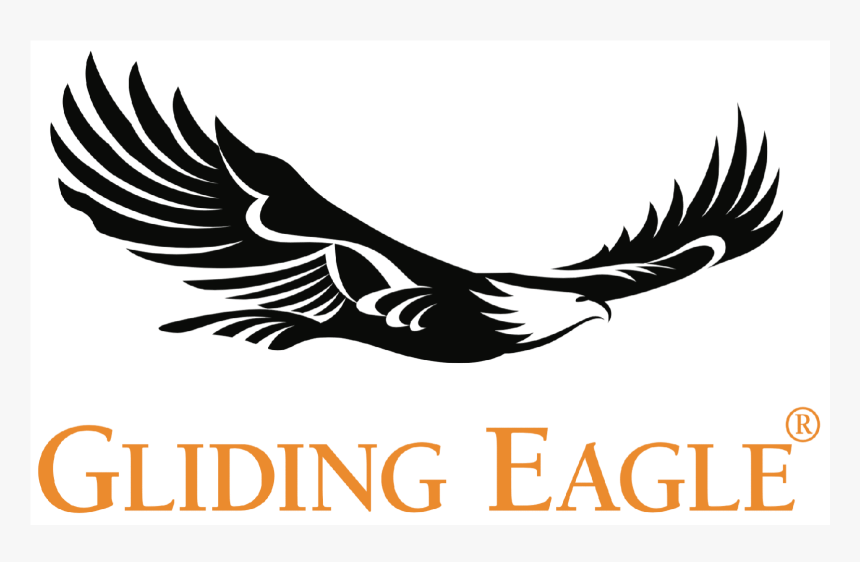 Gliding Eagles, HD Png Download, Free Download