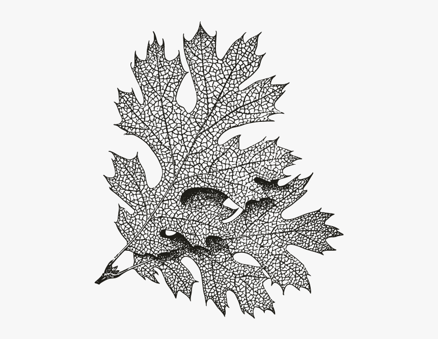 Leaf Motifs, HD Png Download, Free Download