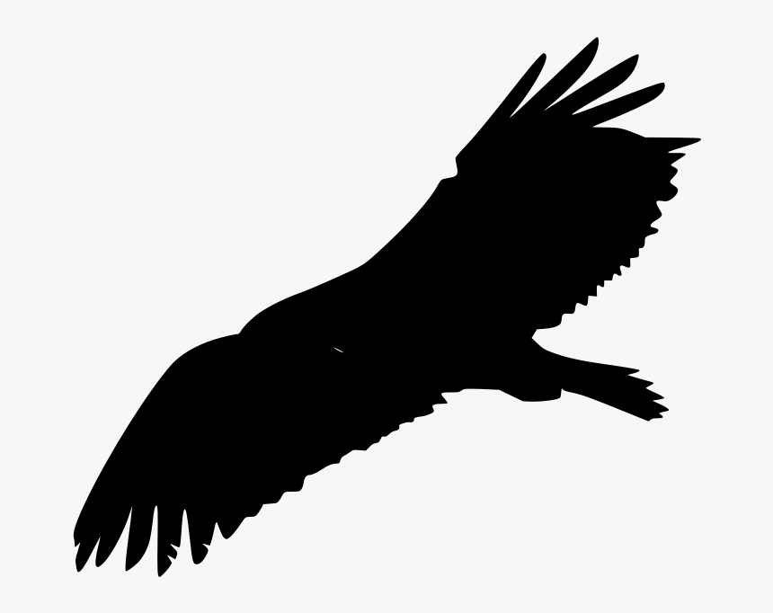 Bald Eagle Flying Clip Art, HD Png Download, Free Download