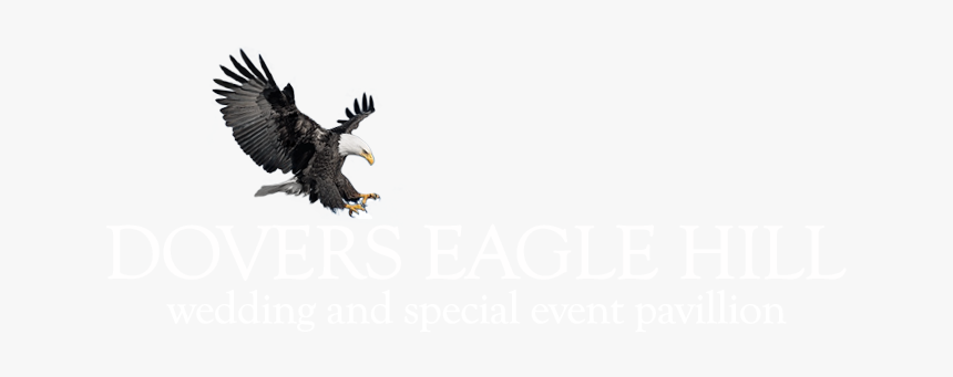 Eagle Eye, HD Png Download, Free Download