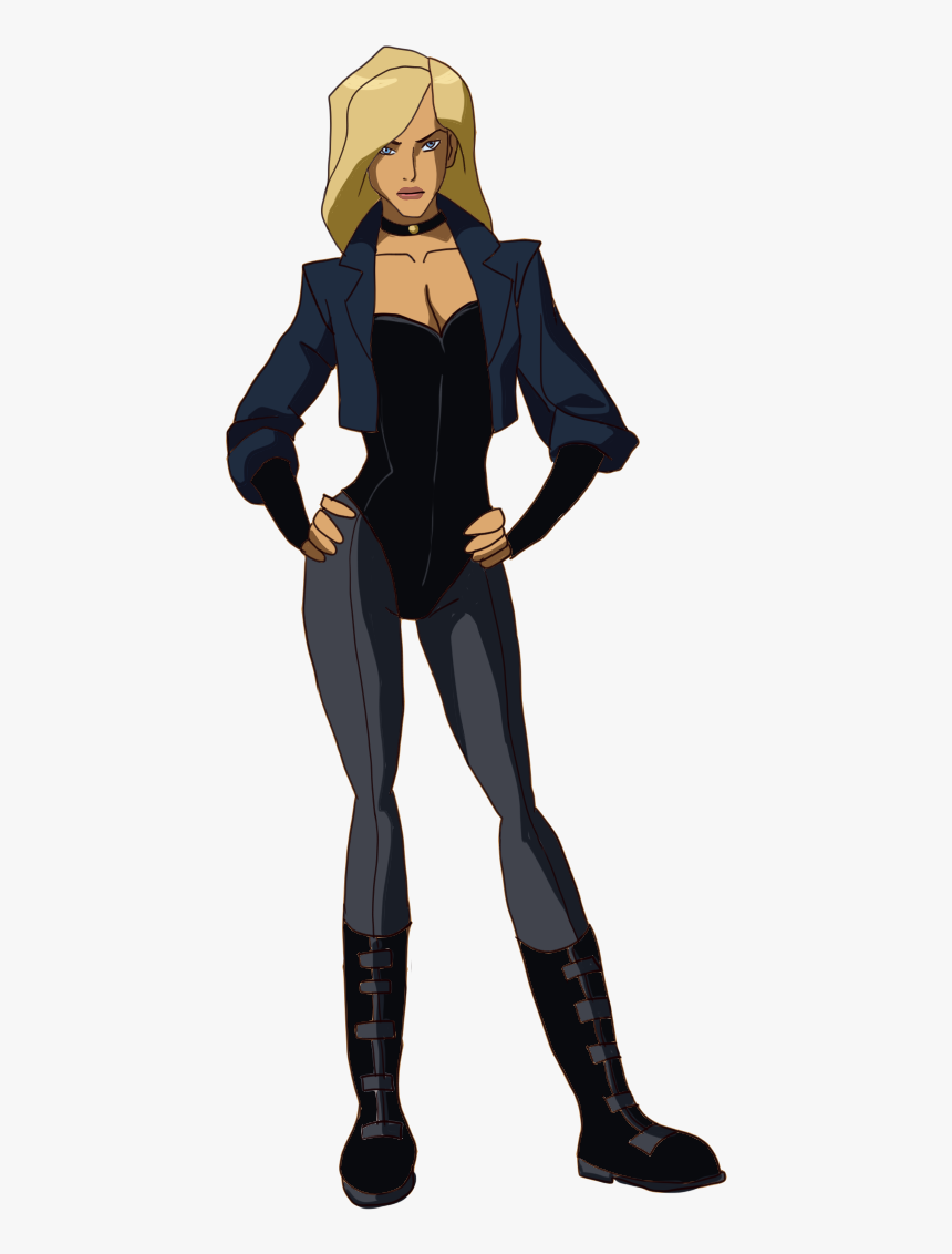 - Dc Black Canary Young Justice - Young Justice League Black Canary, HD Png Download, Free Download