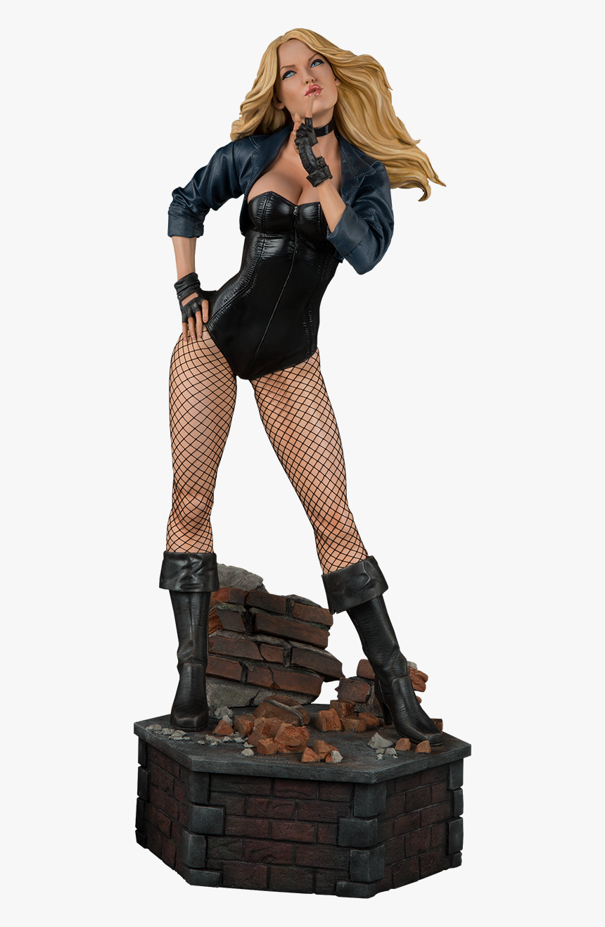 Black Canary Costume Comics, HD Png Download, Free Download