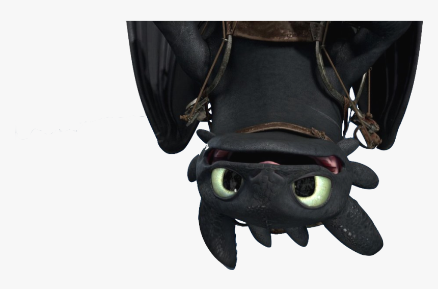 Transparent Toothless Png, Png Download, Free Download