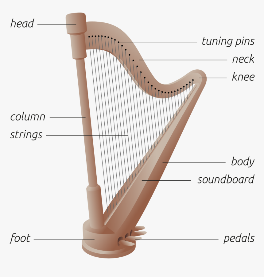 Diagram Of A Harp, HD Png Download, Free Download