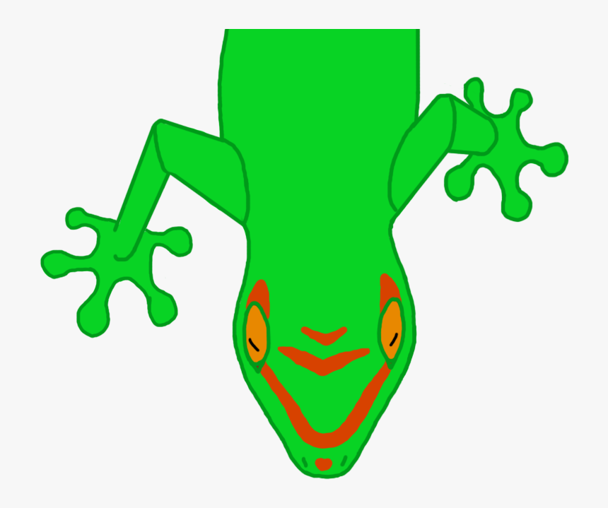 Tree Frog Clipart , Png Download - True Frog, Transparent Png, Free Download