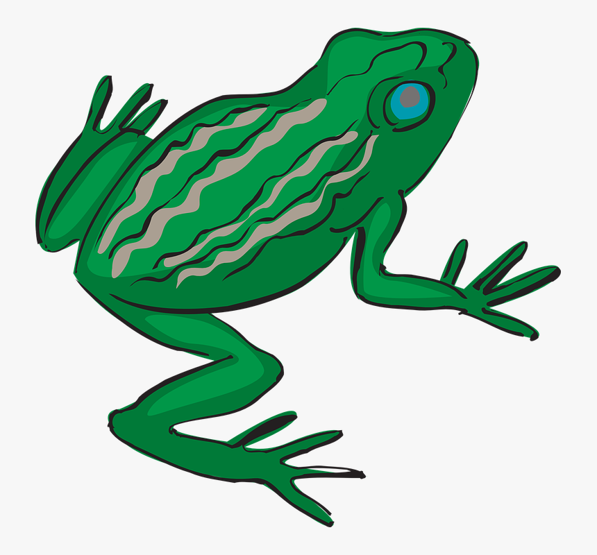 Blue Eyed Frog Svg Clip Arts - Frog's Legs Clipart, HD Png Download, Free Download