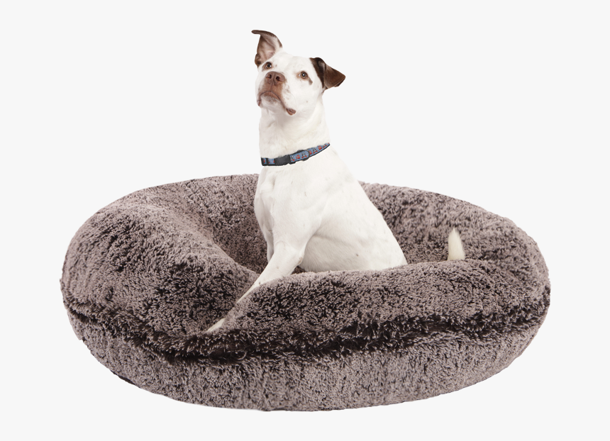 Dog In Dog Bed Png, Transparent Png, Free Download