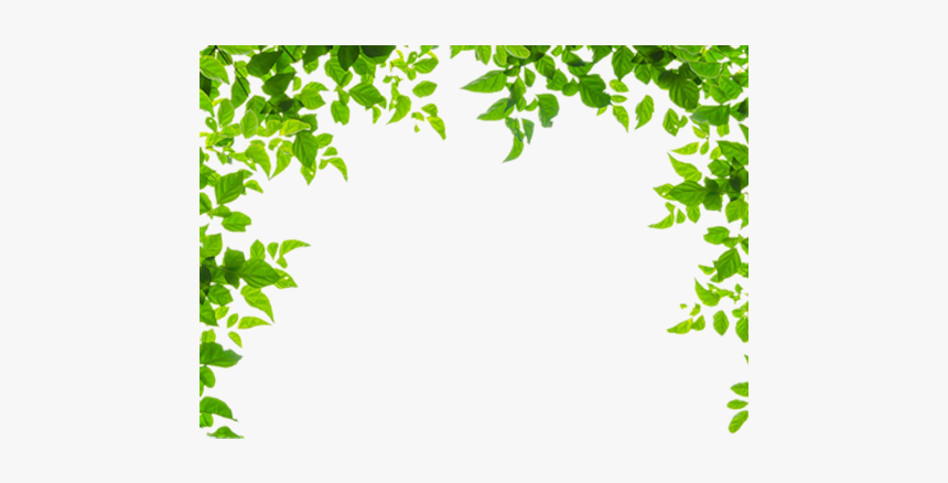 And Leaf Leaves Green Frames Borders Border Clipart - Green Leaf Border Free, HD Png Download, Free Download