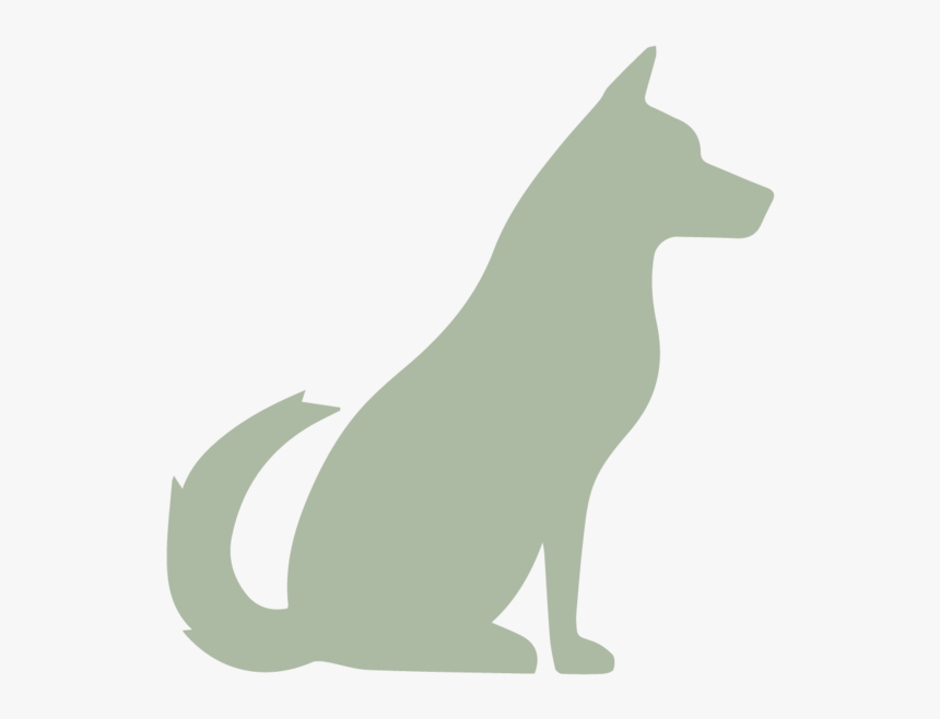 Kunming Wolfdog - Wolfdog, HD Png Download, Free Download