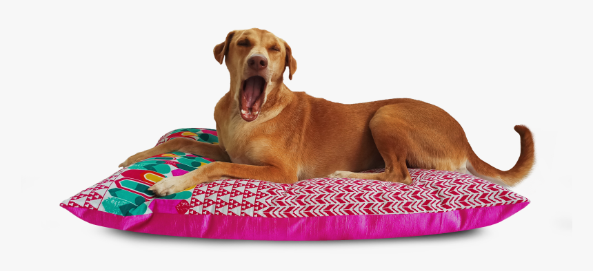 Dog Yawns, HD Png Download, Free Download