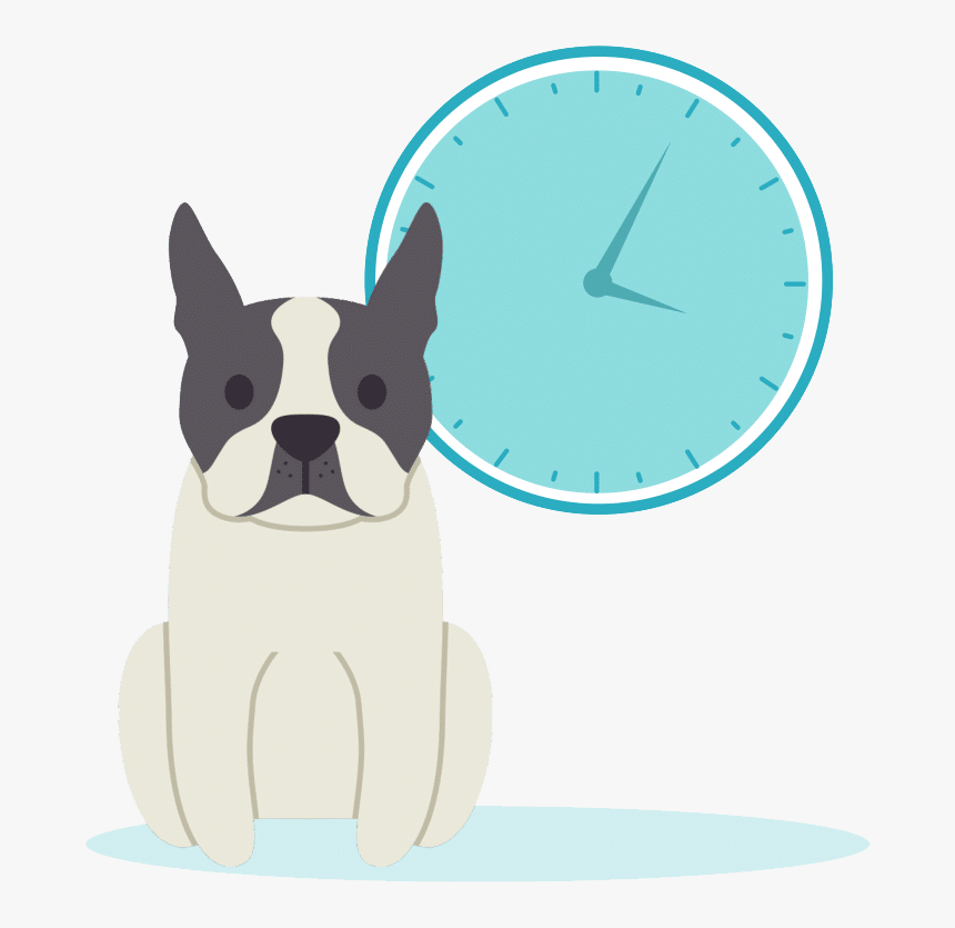 Transparent Doggo Png - Boston Terrier, Png Download, Free Download