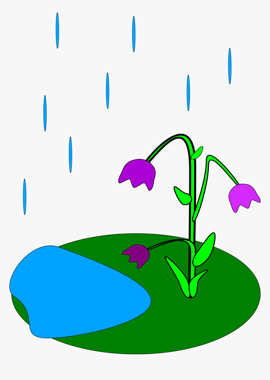 Flower In Rain Cartoon, HD Png Download, Free Download