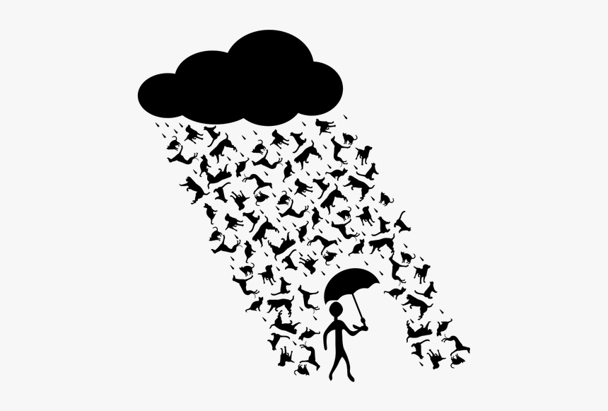 Raining Cats And Dogs - Raining Cats And Dogs Clipart, HD Png Download, Free Download