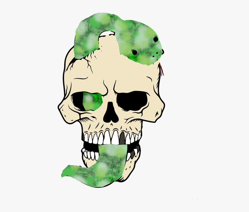 Skull, Snake, Creepy, Skeleton, Evil, Scary, Dead - Skull, HD Png Download, Free Download