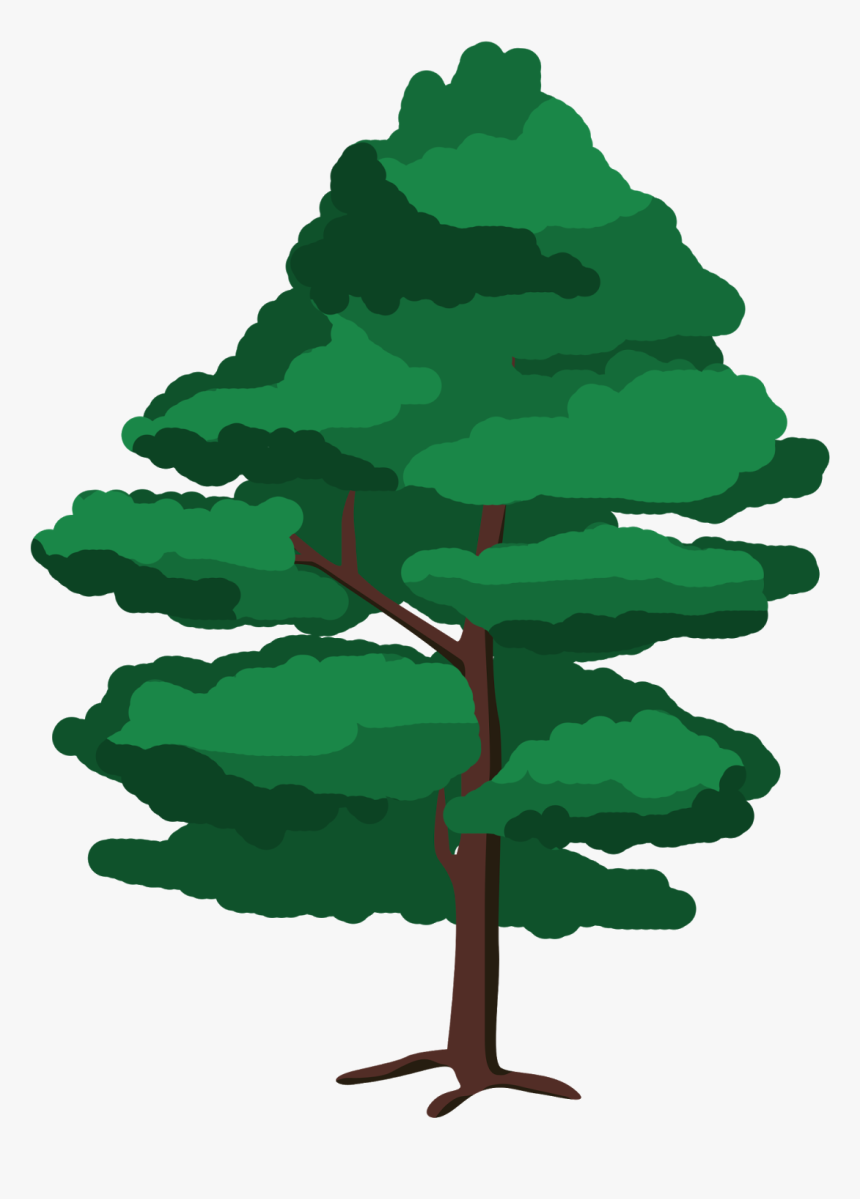 Red Pine, HD Png Download, Free Download