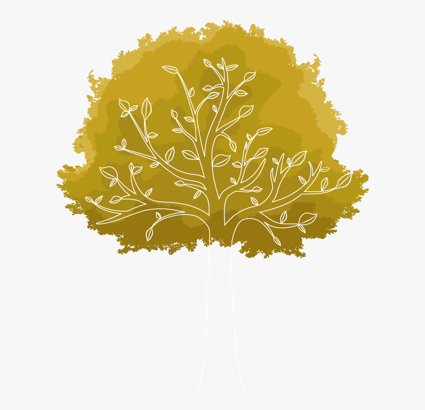 Plane-tree Family, HD Png Download, Free Download