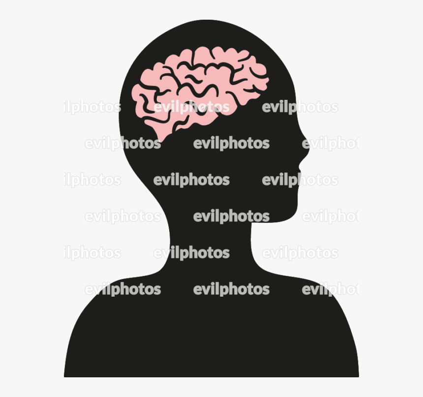 Brain Drawing Vector And Stock Photo - Poster, HD Png Download, Free Download