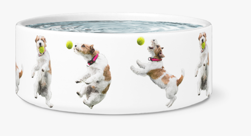 Transparent Jumping Dog Png - Dog Catches Something, Png Download, Free Download